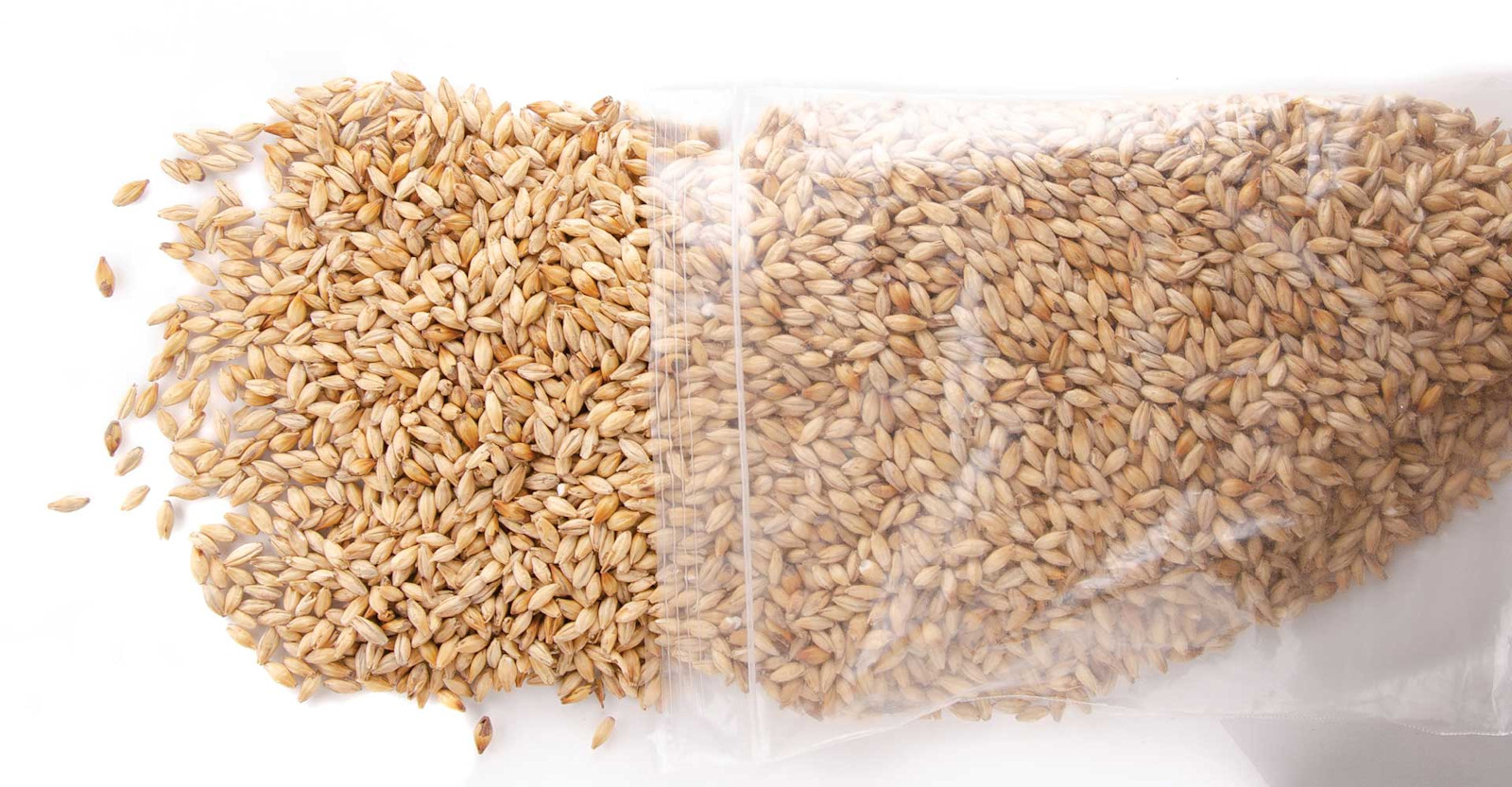 Craft Malt: Choose Your Terroir Primary Image