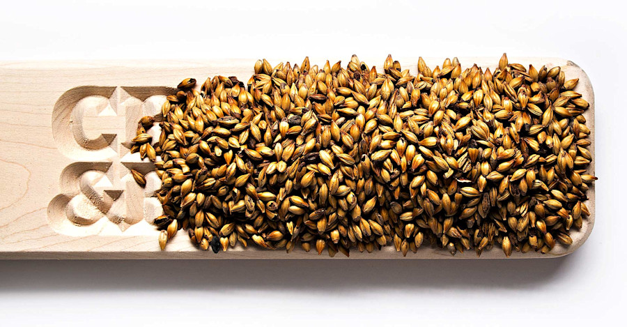 Why Malt Matters Image