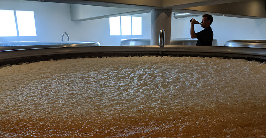 Podcast Episode 244: Eric Toft of Schönramer Is Fixated on Consistency, Drinkability, and Character Image