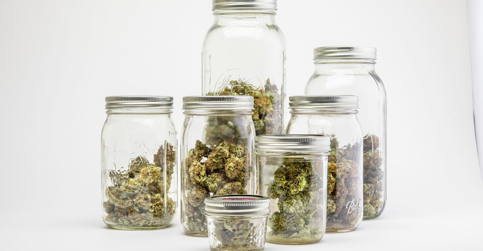 Brewing with Cannabis Primary Image