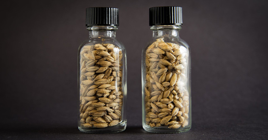 “2-Row Pale”?? Image