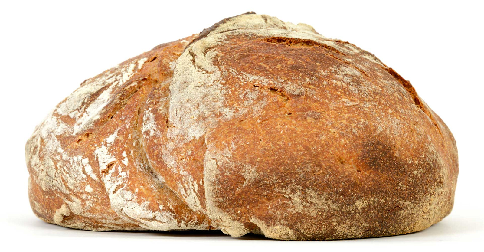 Special Ingredient: Brewing with Bread Primary Image