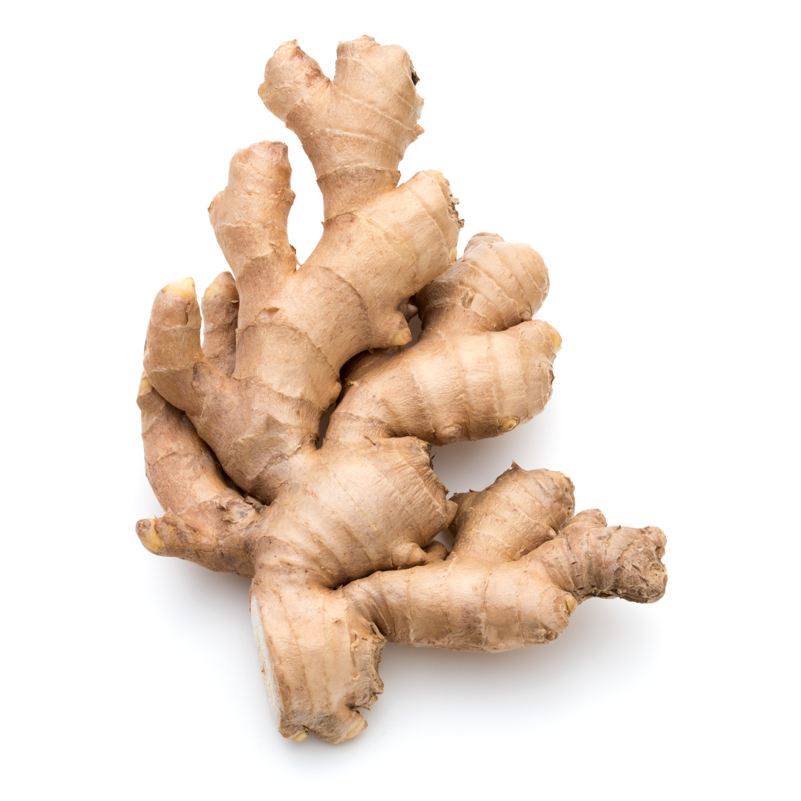 Special Ingredient: Brewing Beer with Ginger | Craft Beer & Brewing