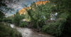 The Hunt for Wild Hops Image