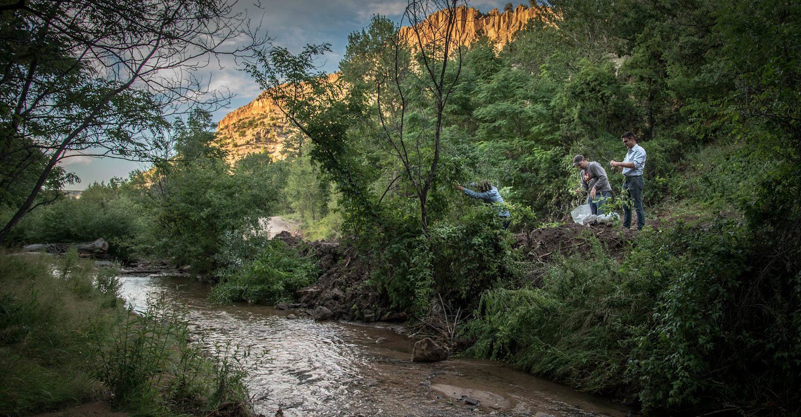 The Hunt for Wild Hops Craft Beer & Brewing