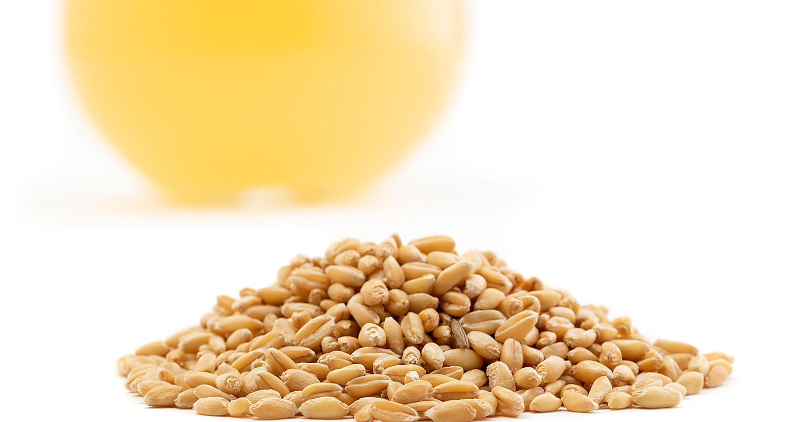 Designing the Perfect American-Style Witbier Primary Image