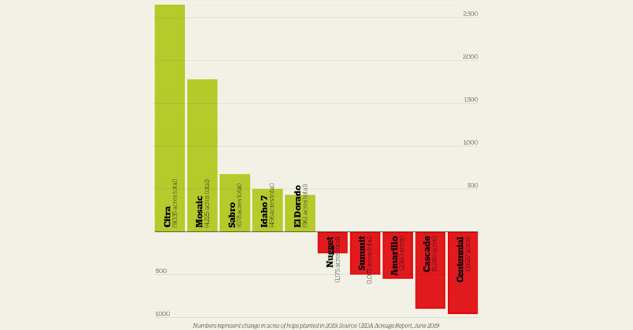 Infographic: Hop Variety Winners and Losers Image