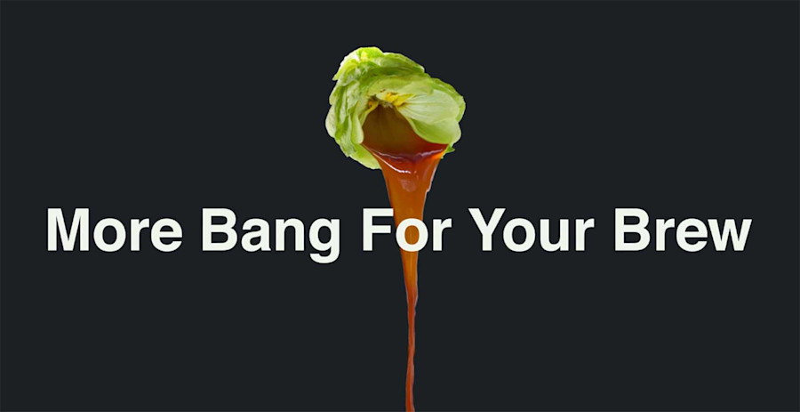 Crowd-Craved Flavor Without Kettle-Crowding Vegetation Image