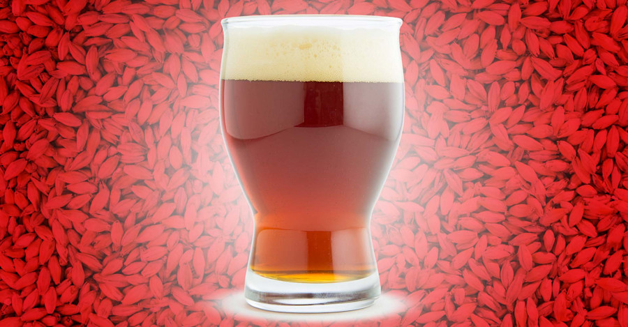 The Importance of the Color Red When it Comes to Malt In Beer Image