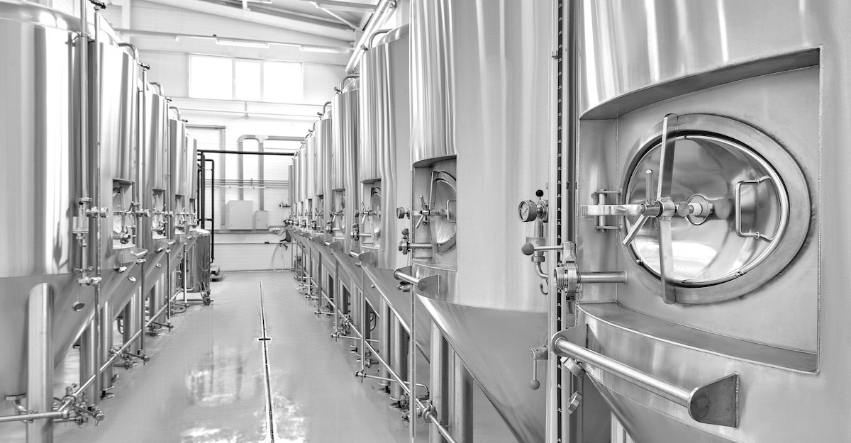 Ferment Hot, Fast, and Clean Beer with Kveik Norwegian Farmhouse Strains Primary Image