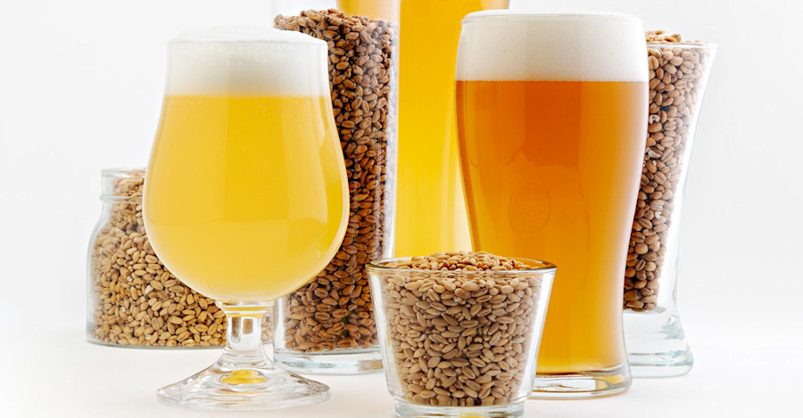 Critical Thinking on Wheat Image