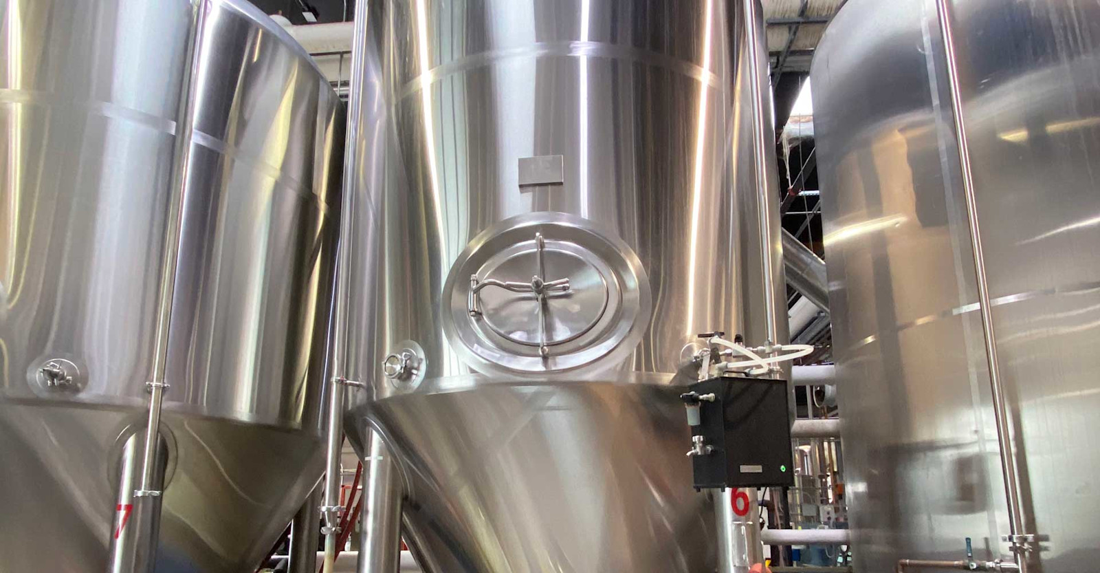 Identifying Issues with Your Yeast: A Look at Fermentation Data Curves Primary Image