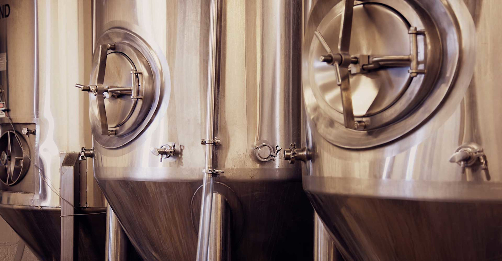 Yeast Harvesting: Best (& Worst) Practices, and How to Know When It’s Time to Pitch Fresh Yeast Primary Image