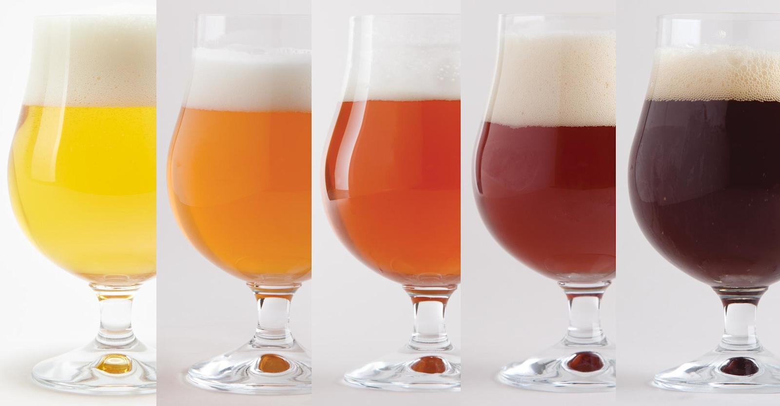 Actual Beer Color vs. Predicted Color  Primary Image