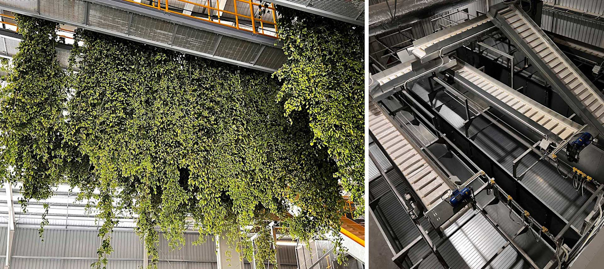 HopRev-Web-Mar22-inline1-2