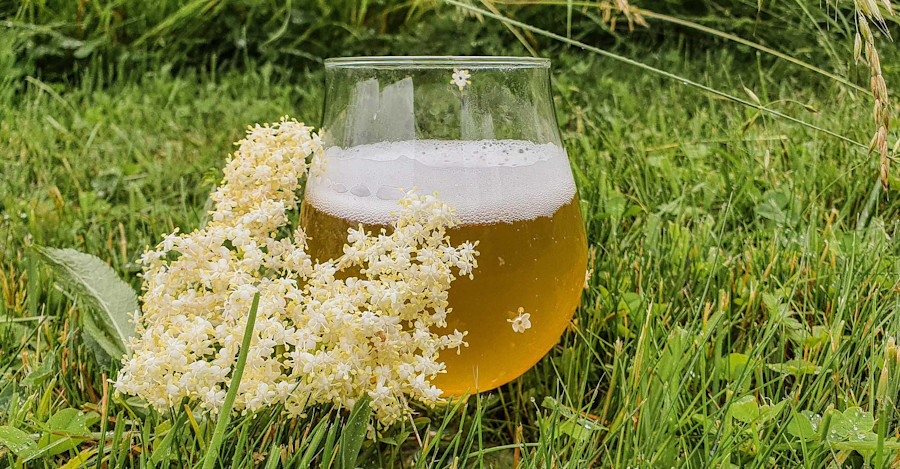 Special Ingredient: Elderflower Image