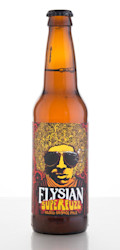 Review Elysian Brewing Space Dust Ipa Craft Beer Brewing