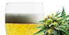 The Fusing of Beer and Marijuana (aromas mostly) is Having a Moment Image