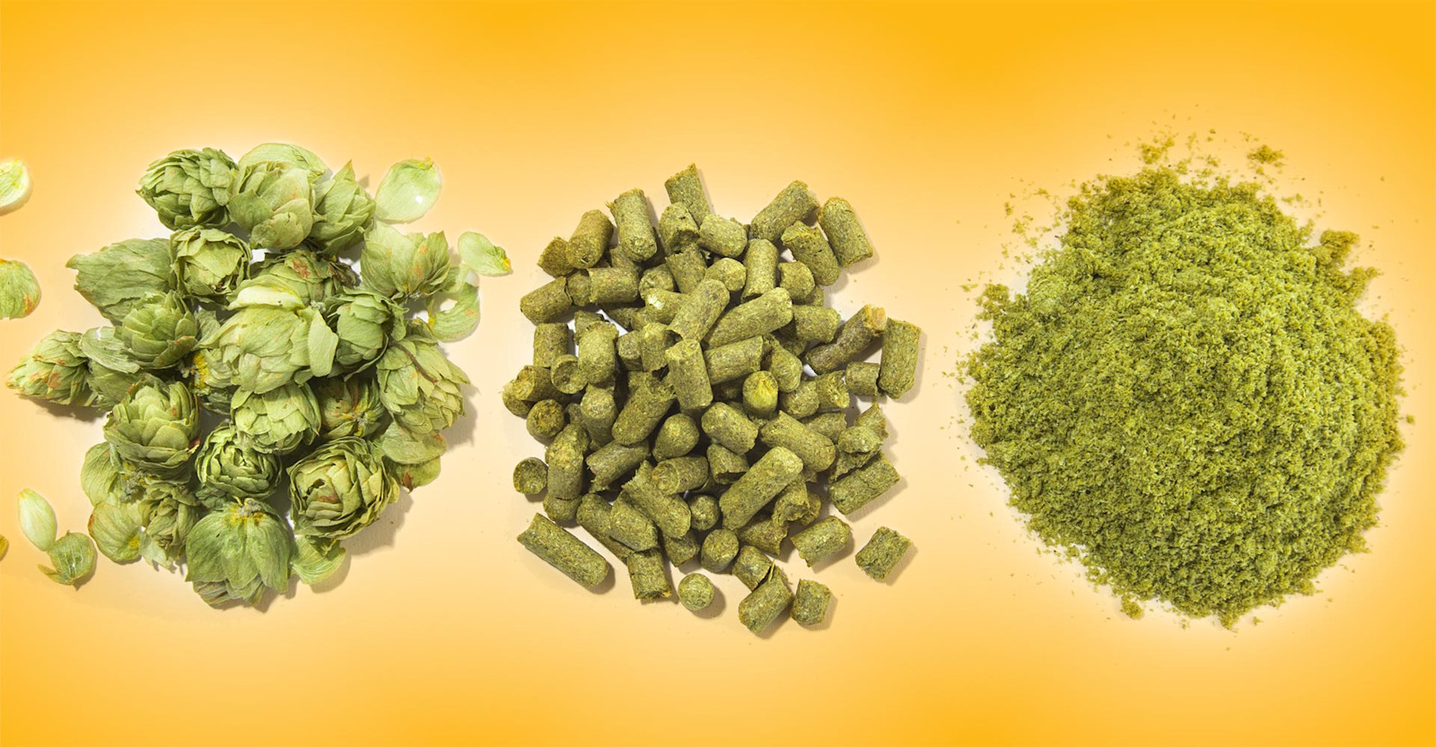 Understanding Bitterness Primary Image