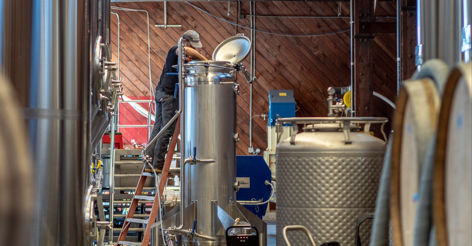 Ready, Aim, Hop. Examining the Hop Gun in Breweries Craft Beer & Brewing