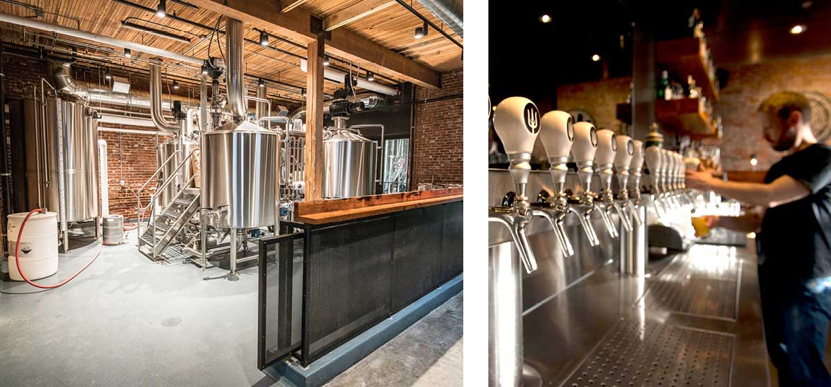 Breakout Brewer Wayfinder Craft Beer & Brewing