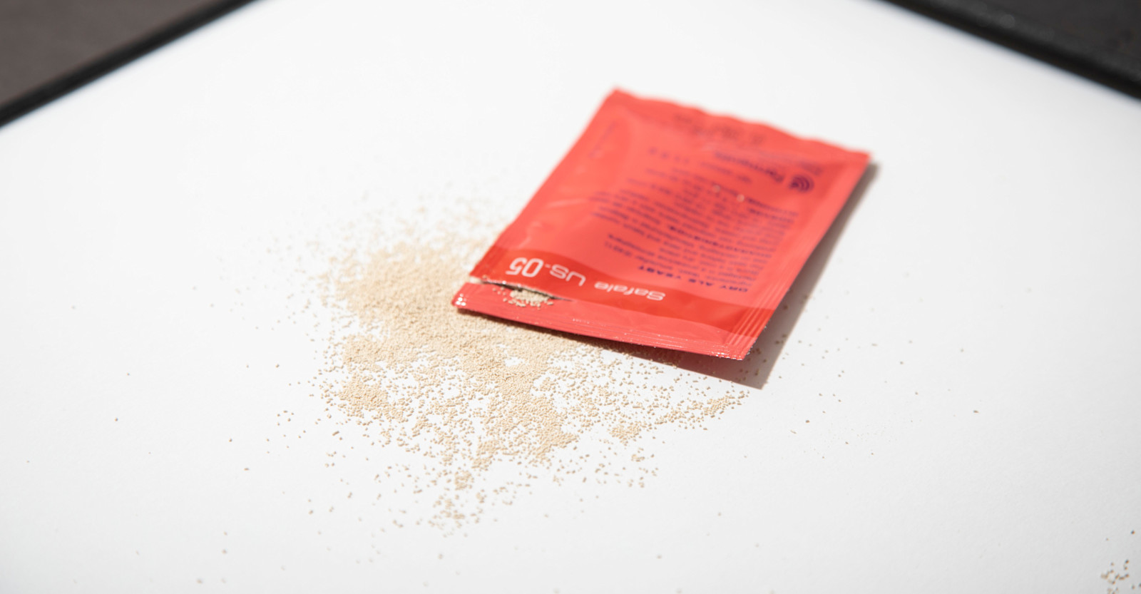 Learning Lab: Going Deep on Yeast Primary Image