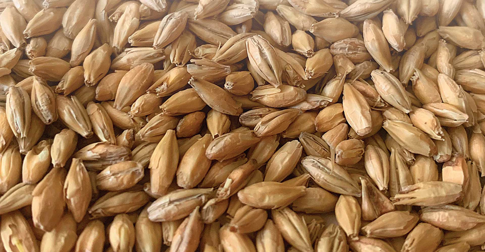 Editors’ Picks: New Ingredients to Try Primary Image