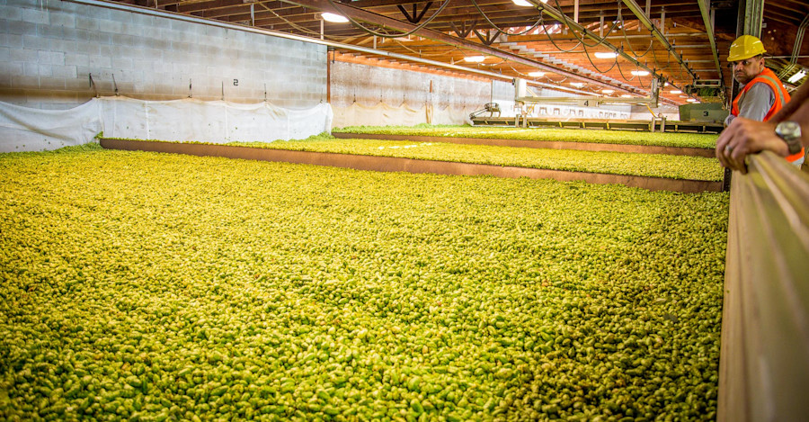 Beercation: Yakima, Washington Image