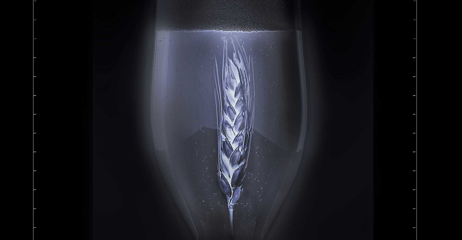 Let’s Demystify Rye Primary Image