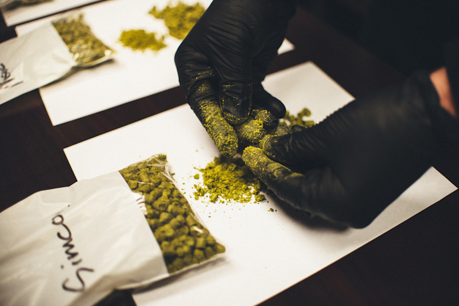 Mindbending Flavors Solely Through Hops Image