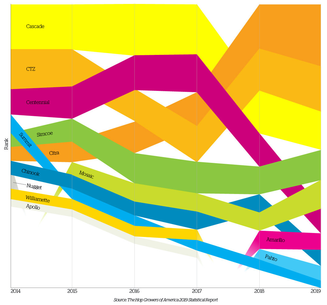 Infographic: Top Hops Primary Image
