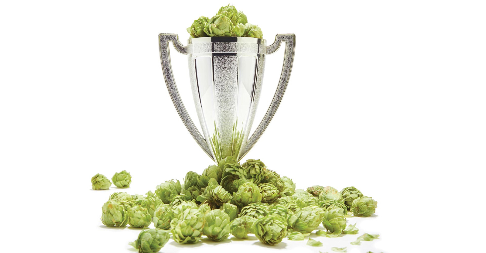 Craft Beer & Brewing Magazine Best in Beer 2016: Critics' Choice Primary Image