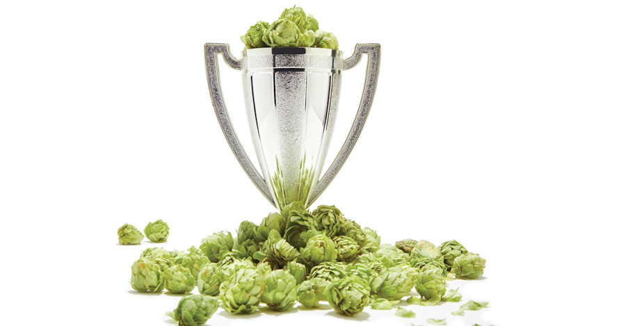 Craft Beer & Brewing Magazine Best in Beer 2016: Critics' Choice Image