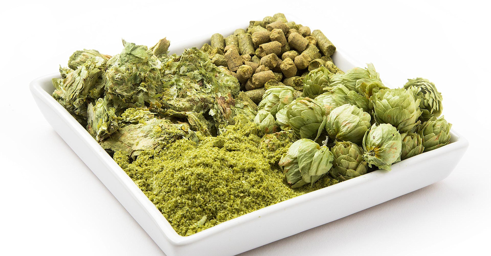 Hops: Blending and Pairing Primary Image
