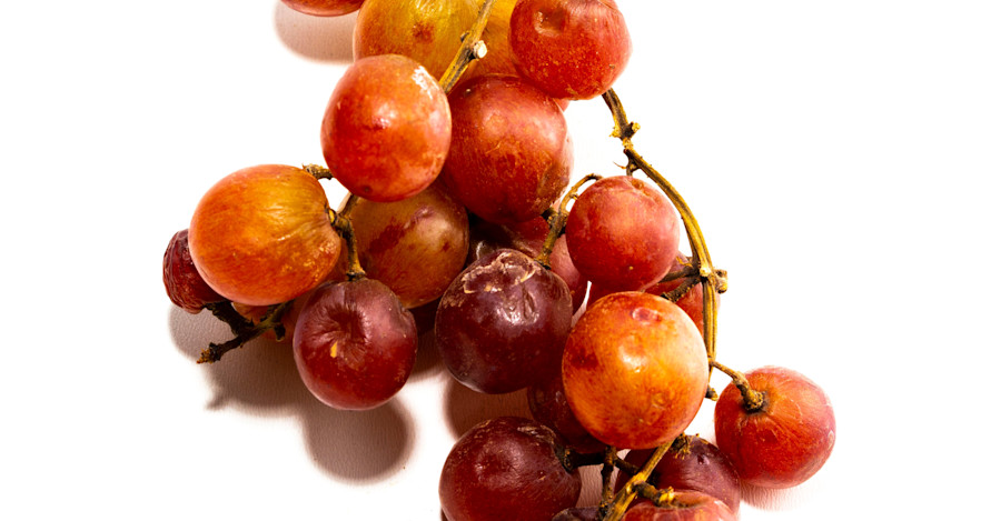 Brewing Beers with Wild Fruit Image