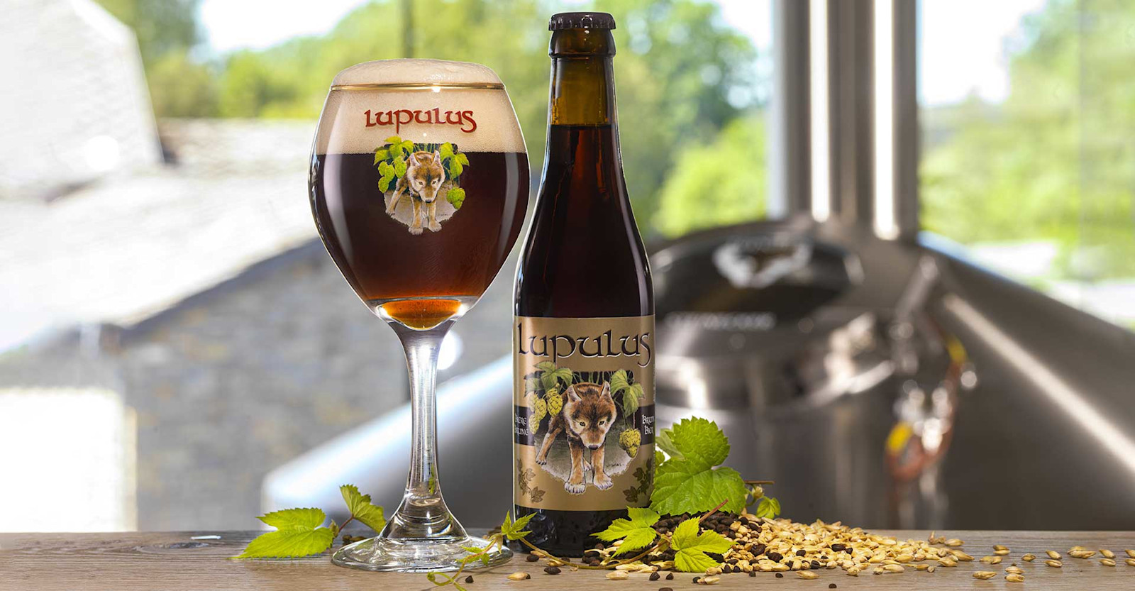 Recipe: Lupulus Brune Primary Image