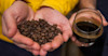 Storing Roasted Coffee Beans Image