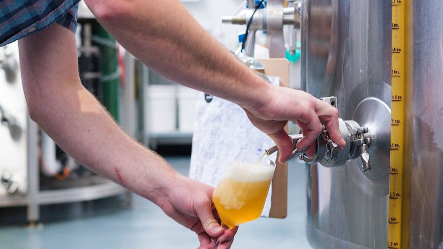 Recipe: Ruse Phantom Shore Citra Extra Pale Image