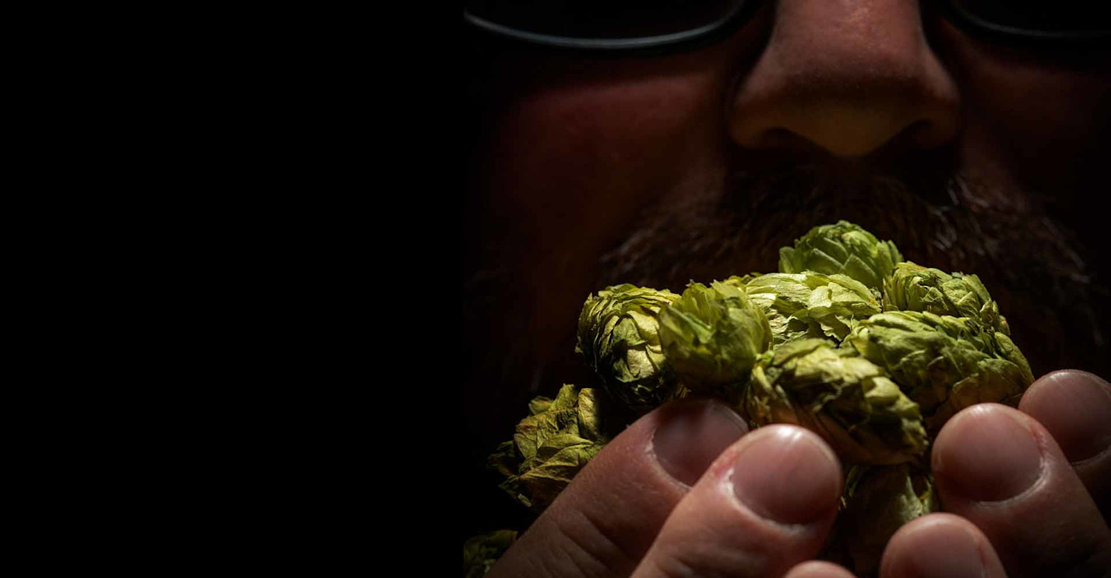 Flavor Fever: Deconstructing the Heady Aromas of  IPA Primary Image