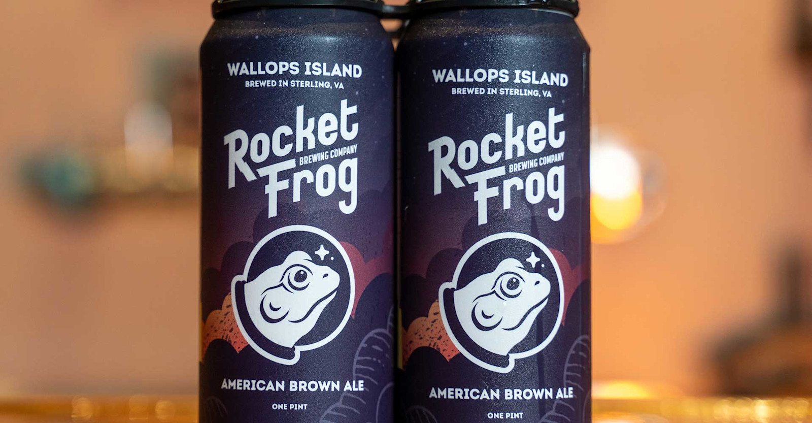 Brewer’s Perspective: Brewing Brown Ale & Winning with Rocket Frog Primary Image