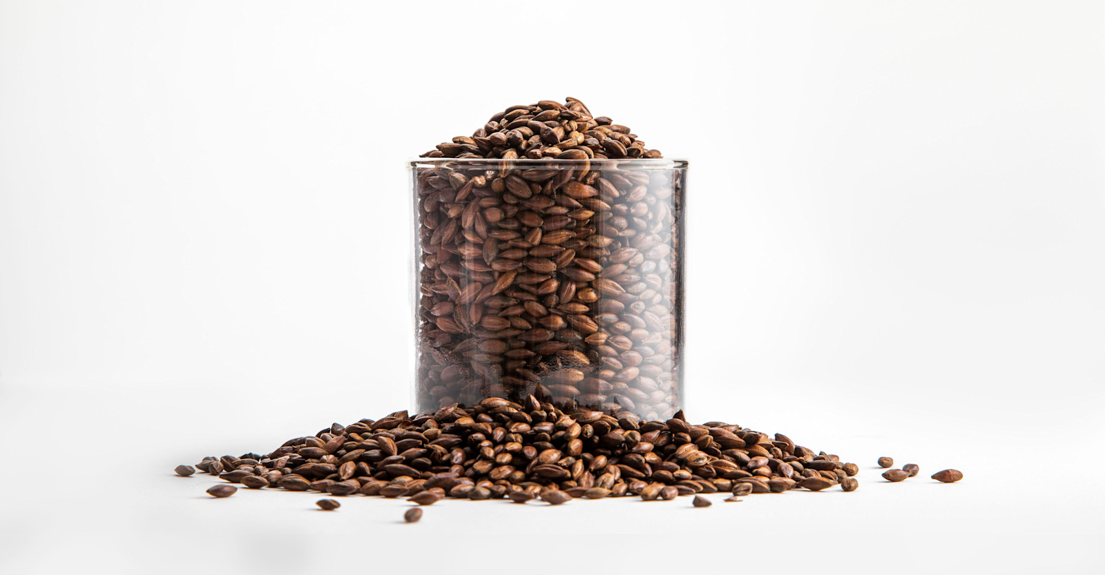 The  Heart of Darkness: Exploring Dark Malts Primary Image