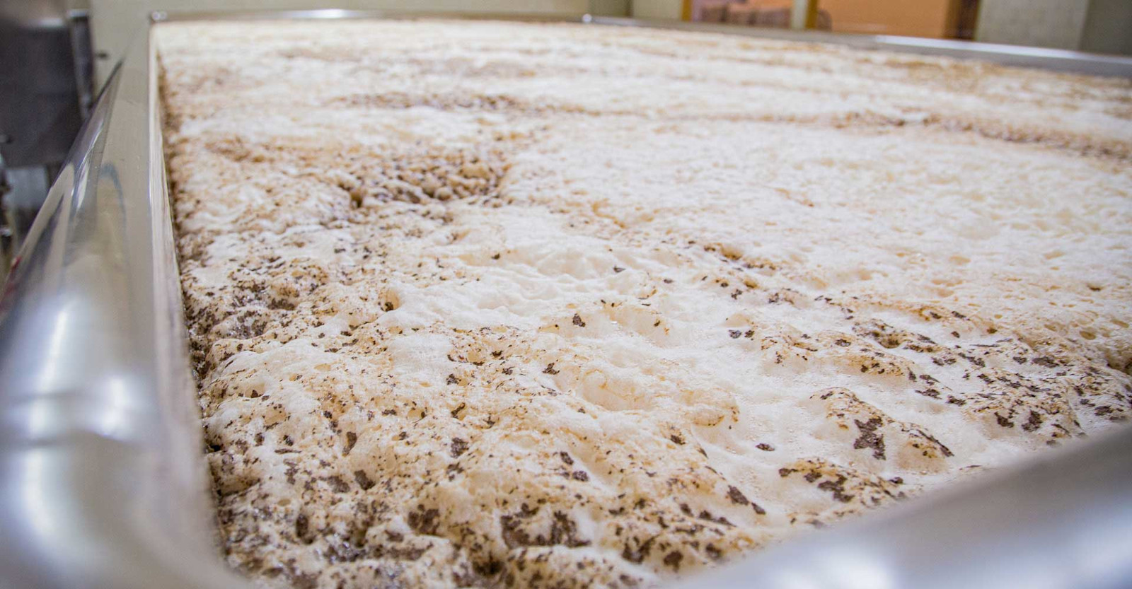Brewer's Perspective: Open Fermentation For India Pale Ale? Primary Image