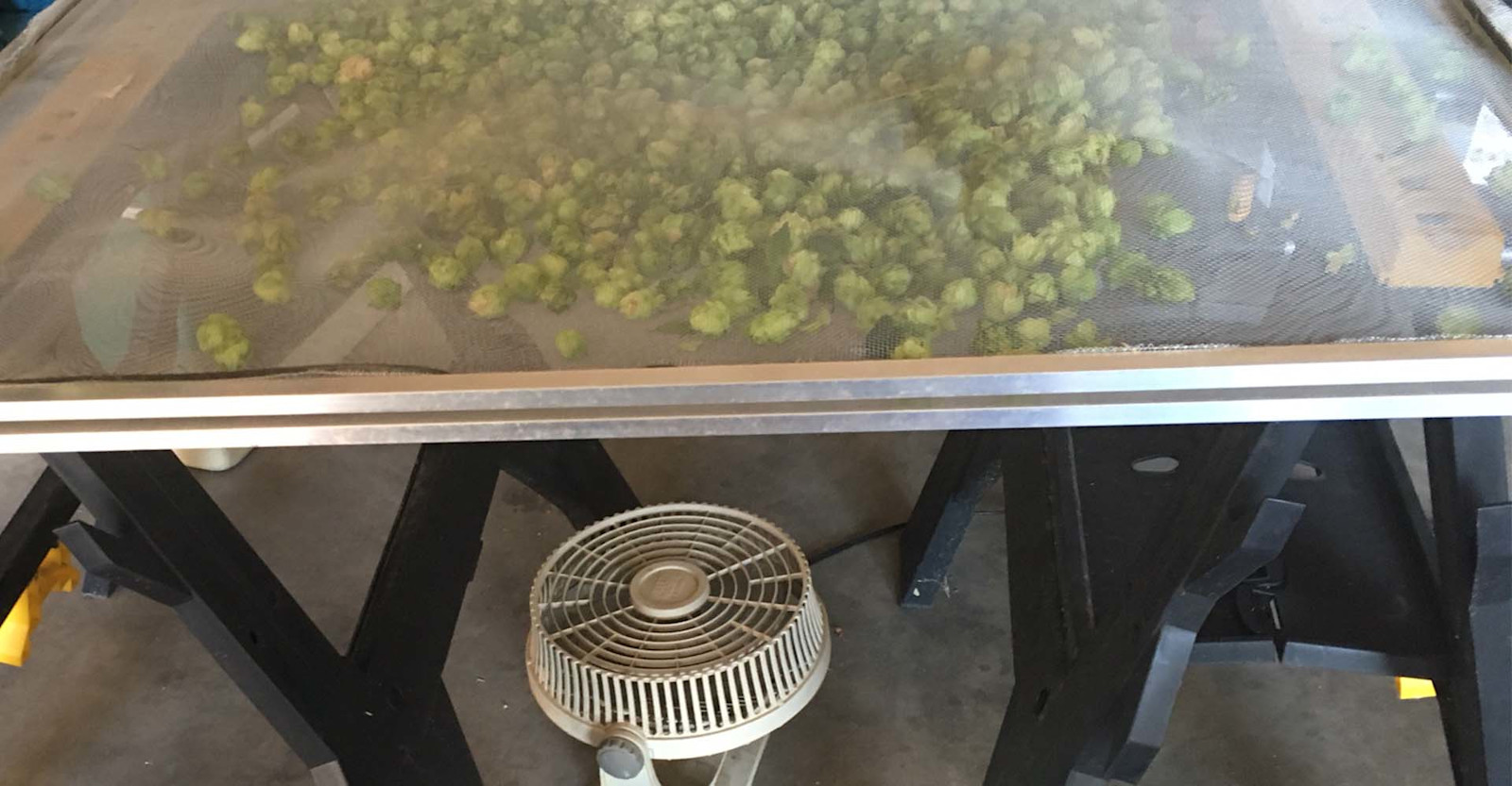 Hops: Homegrown For Homebrew Primary Image