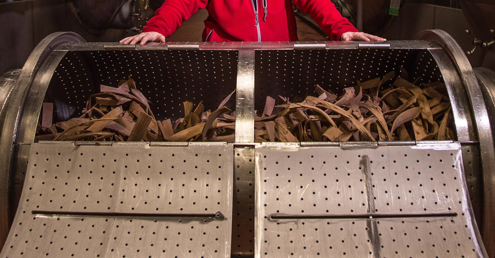 Beechwood Aging Primary Image