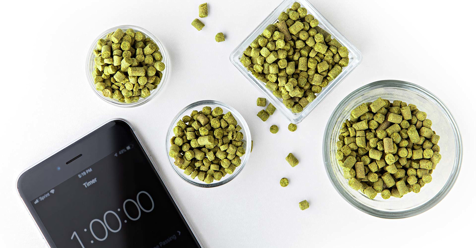 Learning Lab: Standard Hops Additions Primary Image