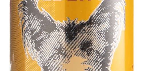 Review Dry Dock Apricot Blonde Craft Beer Brewing