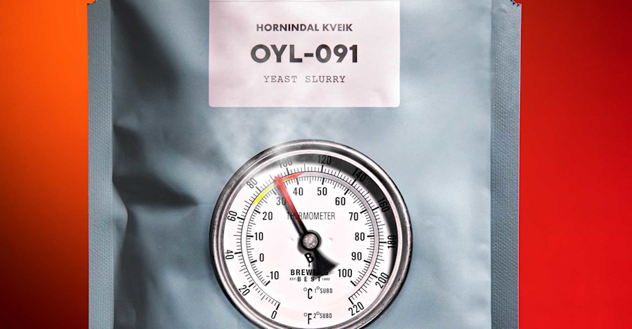 Brewing with Kveik: What Have We Learned So Far? Image