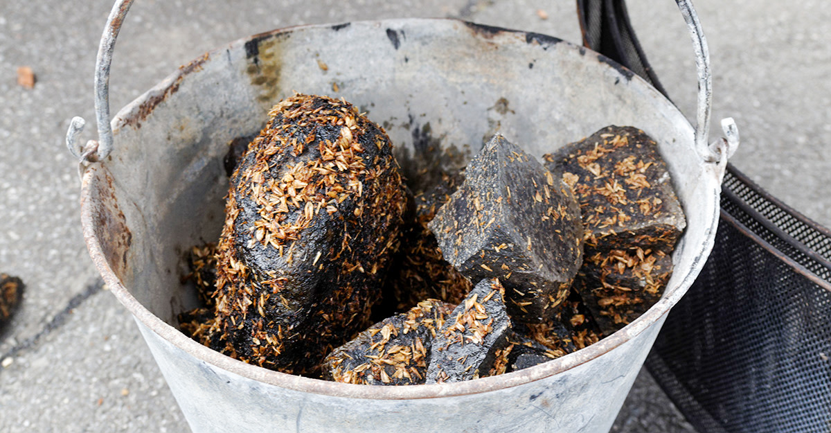 The Means of the Stone Age: Hot Rocks in Ancient Brewing Primary Image