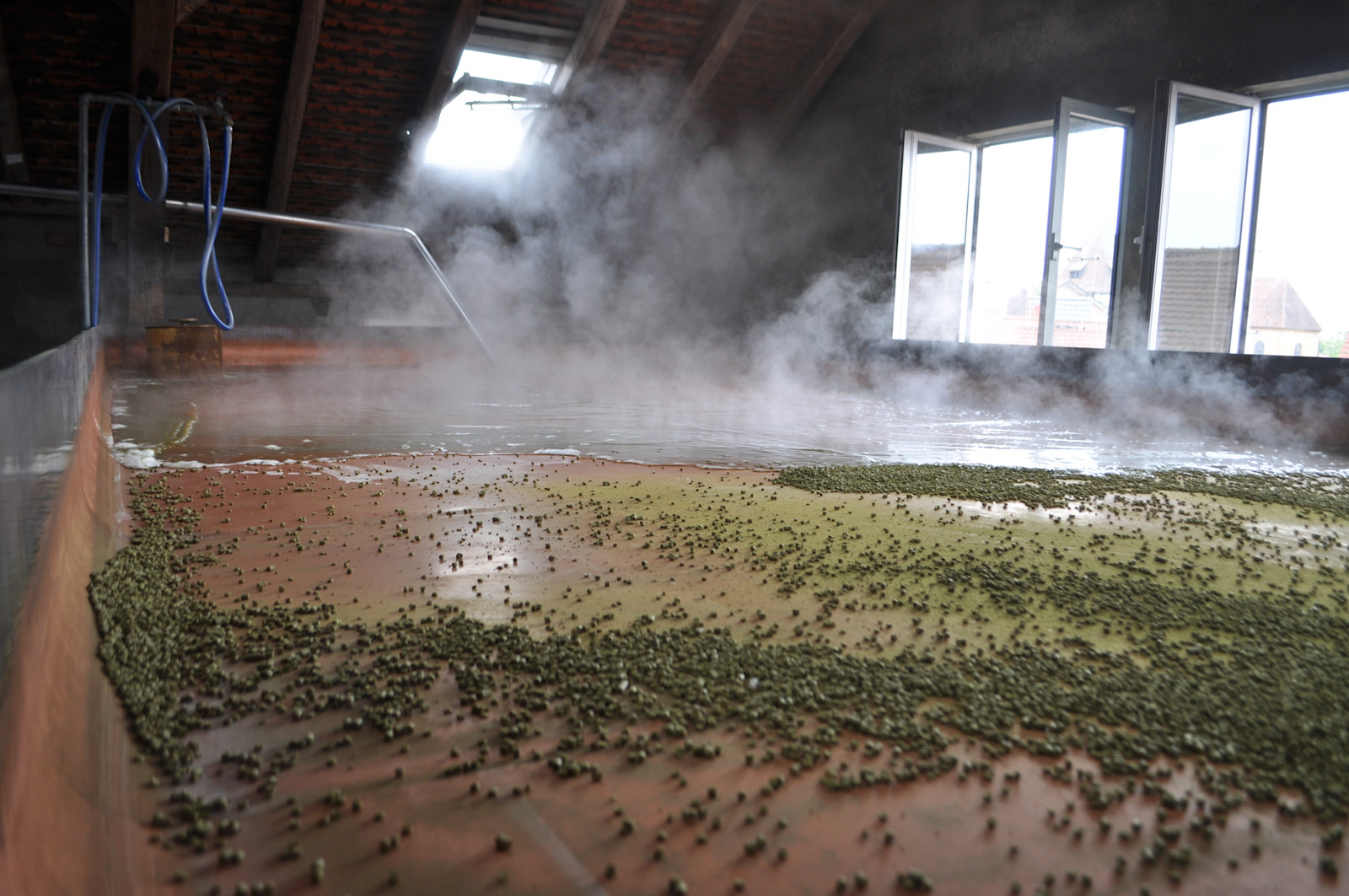 Exploring the Most Brewery Rich Region in the World Primary Image