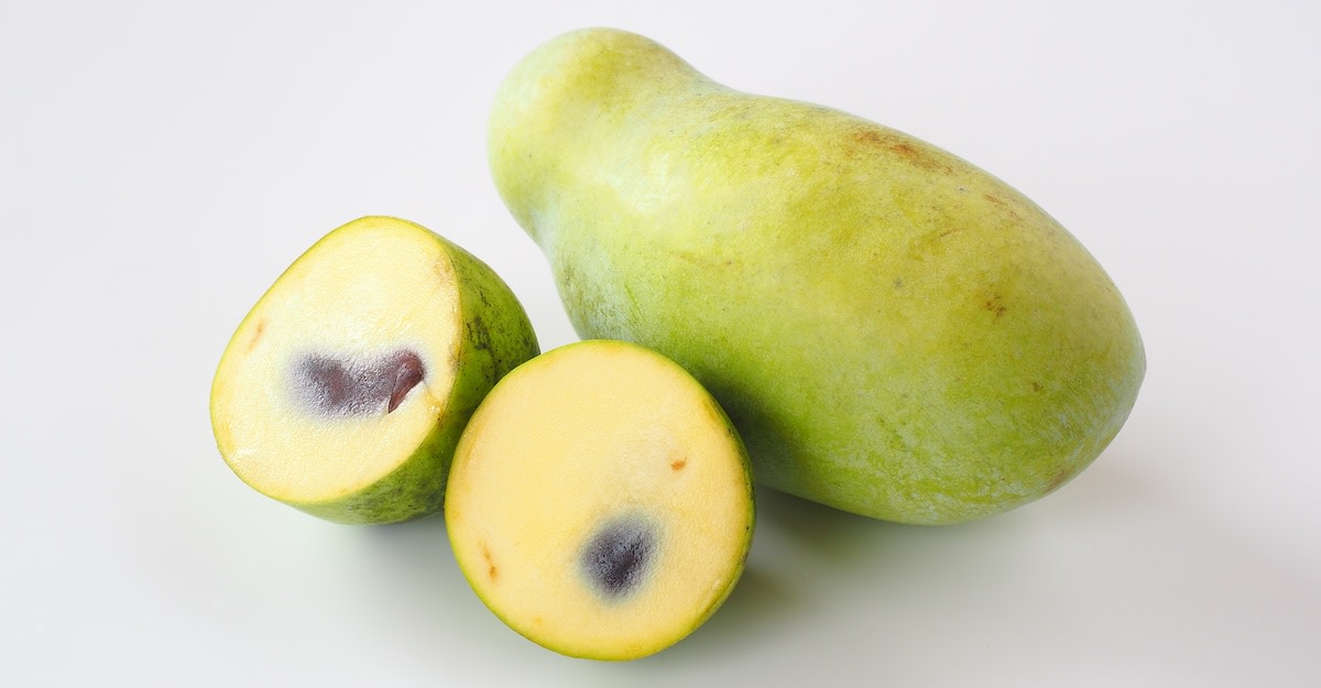 Special Ingredient: Pawpaw Primary Image